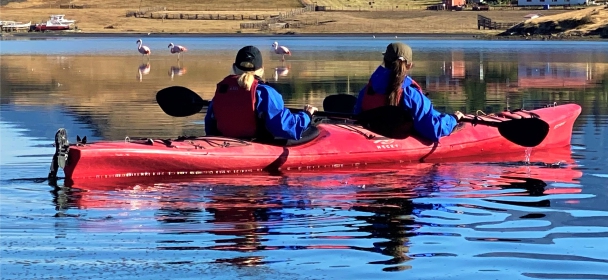 Kayakinig avistaje de flamencos
