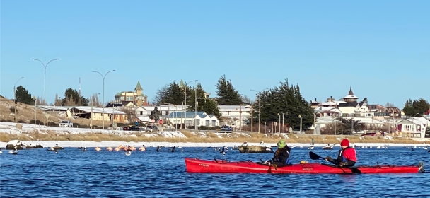 Kayak Bahia Puerto Natales 3