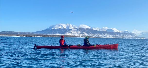 Kayak Bahia Puerto Natales 6