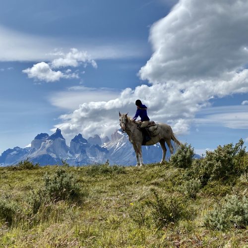 Horses in Torres del Paine