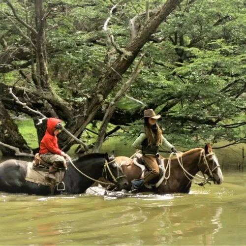 Adventure tourism excursion with riders crossing the water currents of Nutria River on horseback in Chilean Patagonia.