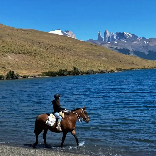 Guided equestrian excursion along the shores of Laguna Azul with a clear view of Torres del Paine.