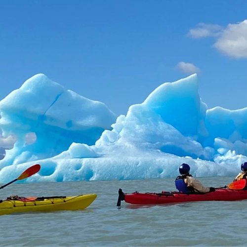 1 día Kayak en lago y río Grey